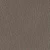 Taupe-122486