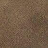 Taupe-122537