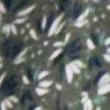 olive/multicolore-122704