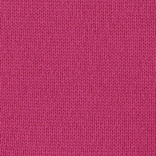 Fuchsia-123367