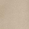 champagne-124262