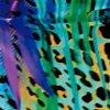 nachtblauw/multicolour-124321
