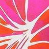 fuchsia/wit/multicolour-125357