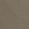 Taupe-125459