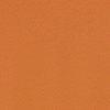 Apricot-125745