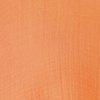 Apricot-125755