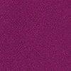 Fuchsia-125762