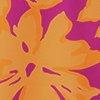 oranje/pink-126108