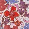 Terra/Amethyst/Multicolor-126397