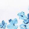 blanc/bleu-126593