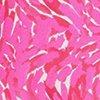 Pink/Weiß-126631