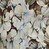 beige/multicolour-126643