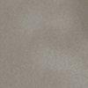 Taupe-126666