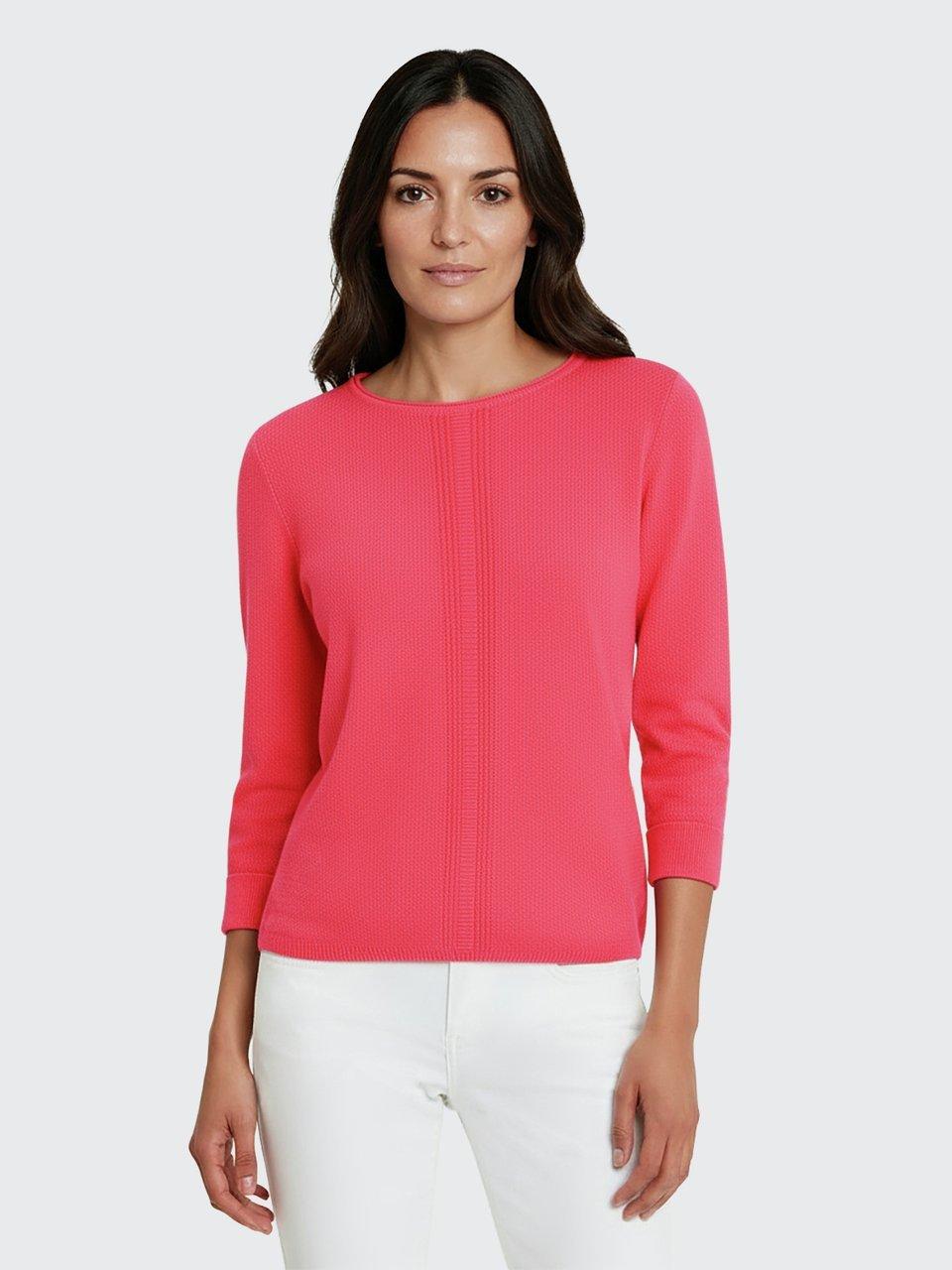 Peter Hahn - Le pull