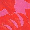 fuchsia/papaverrood/multicolour-126918