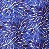 royalblauw/wit-127011
