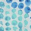 blauw/offwhite-127016