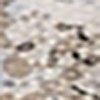 Taupe/Multicolor-127427