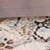 Taupe/Multicolor-127428