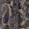 olijf/multicolour-127774
