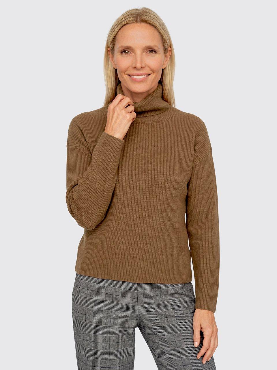 Peter Hahn - Le pull