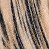 camel/multicolore-128252