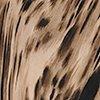 camel/multicolour-128451