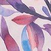 Brombeere/Multicolor-128697