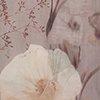 poudre/multicolore-129013