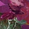 Fuchsia/Multicolor-129055