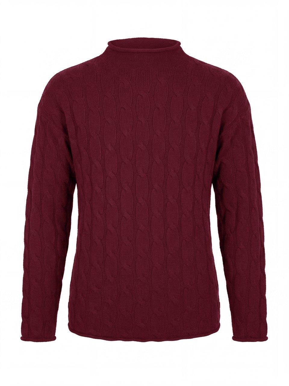 Peter Hahn - Le pull