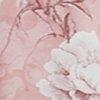 vieux rose-129356