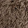 Taupe-129659