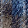 noga/royalblauw/multicolour-129755