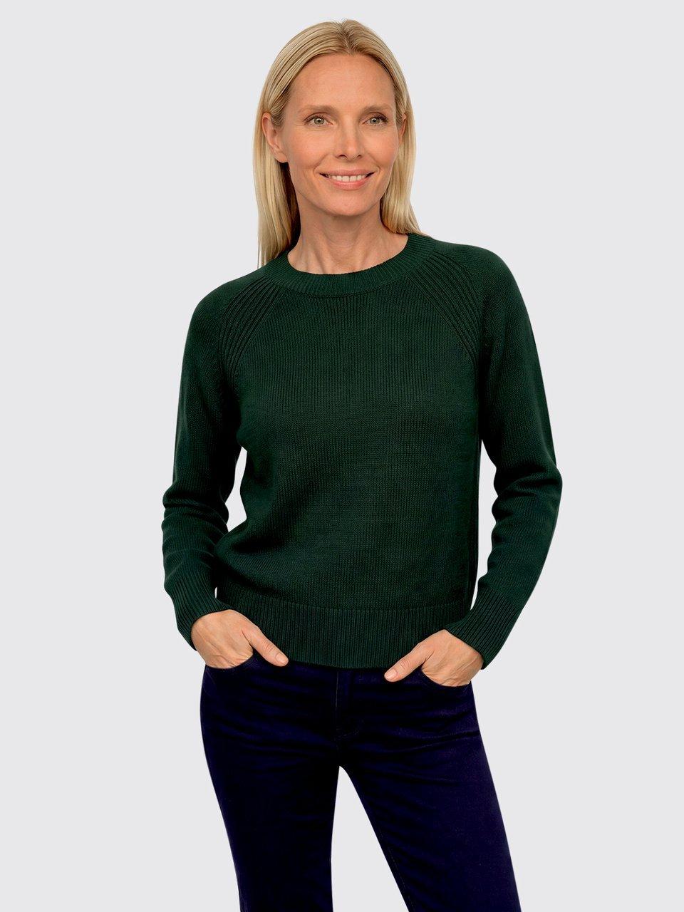 Peter Hahn - Le pull