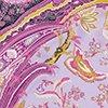 fuchsia/multicolour-130703