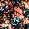 Multicolor-130762