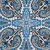blauw/wit-131024