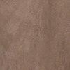 Taupe-131325