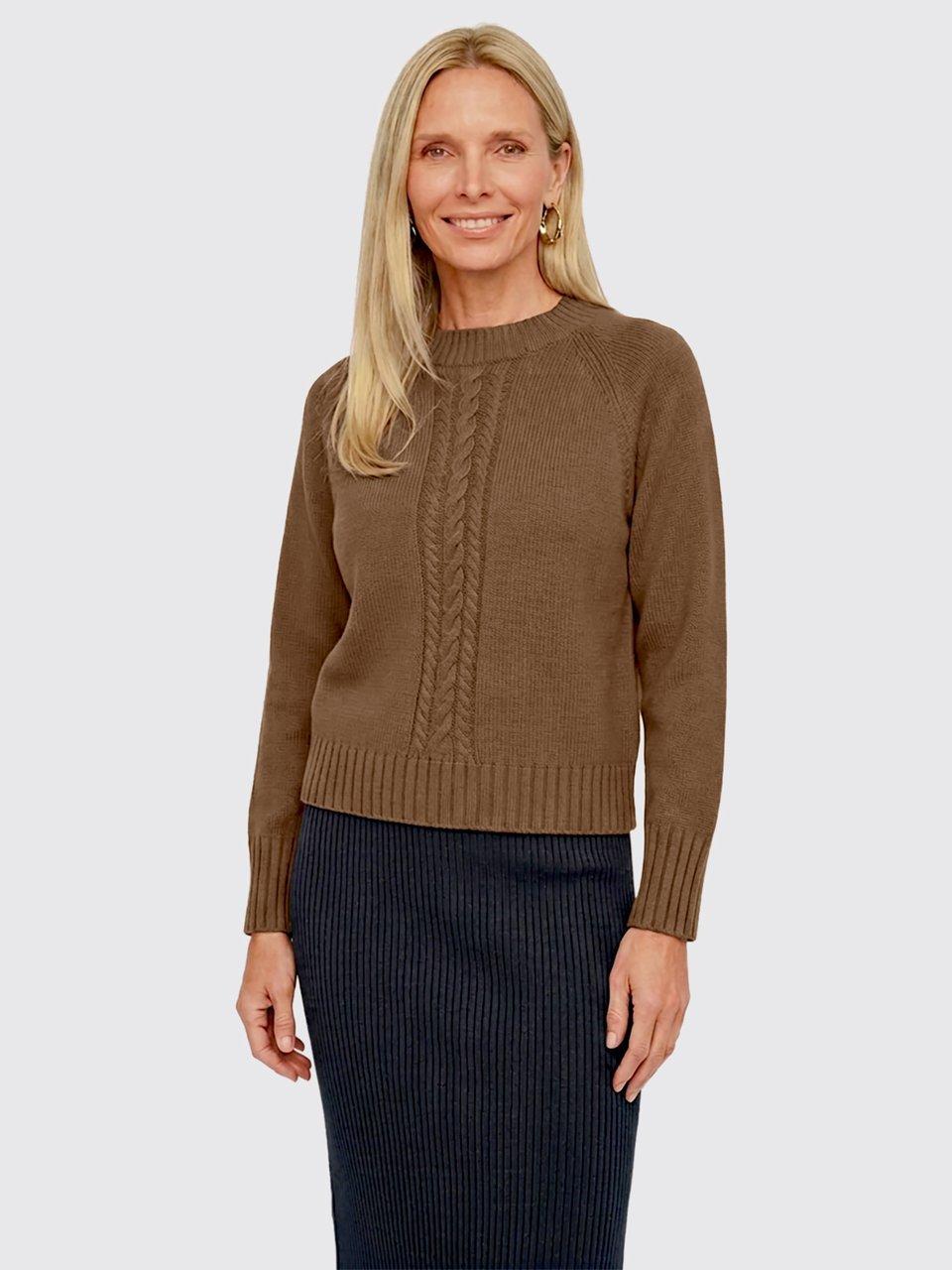 Peter Hahn - Le pull