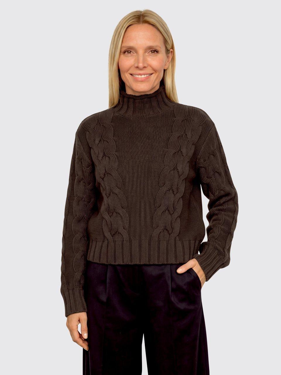 Peter Hahn - Le pull