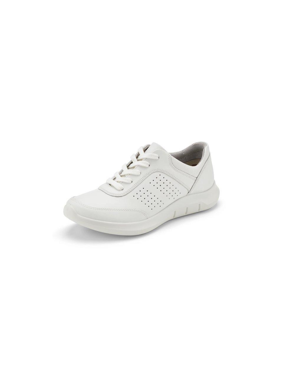 Hotter - Sneakers Orion