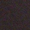 Taupe-148117
