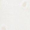 offwhite-159148
