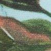 turquoise-163600