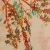 Pudder/multicolor-164970