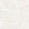 offwhite-168252