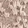 Natur-251512