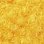 jaune maïs-301191