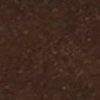 bruin-301332